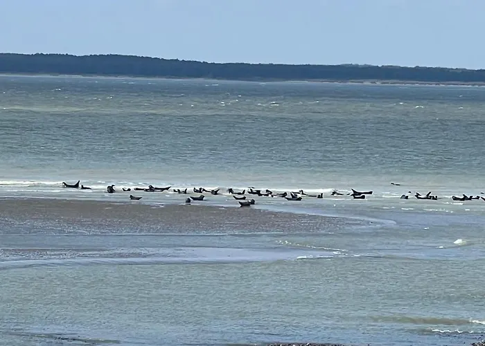 à 50m Rêves De Les Bains De Appartement *