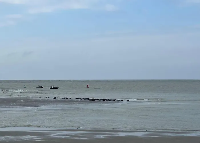 à 50m Rêves De Les Bains De Appartement