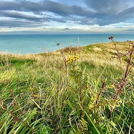 A 50m Reves De Les Bains De