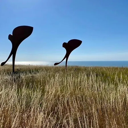 A 50m Reves De Les Bains De * Mers-les-Bains