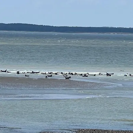 A 50m Reves De Les Bains De Apartment *
